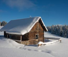 Cabin in the Woods