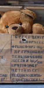 teddybeer 