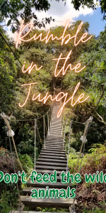 rumble in the jungle